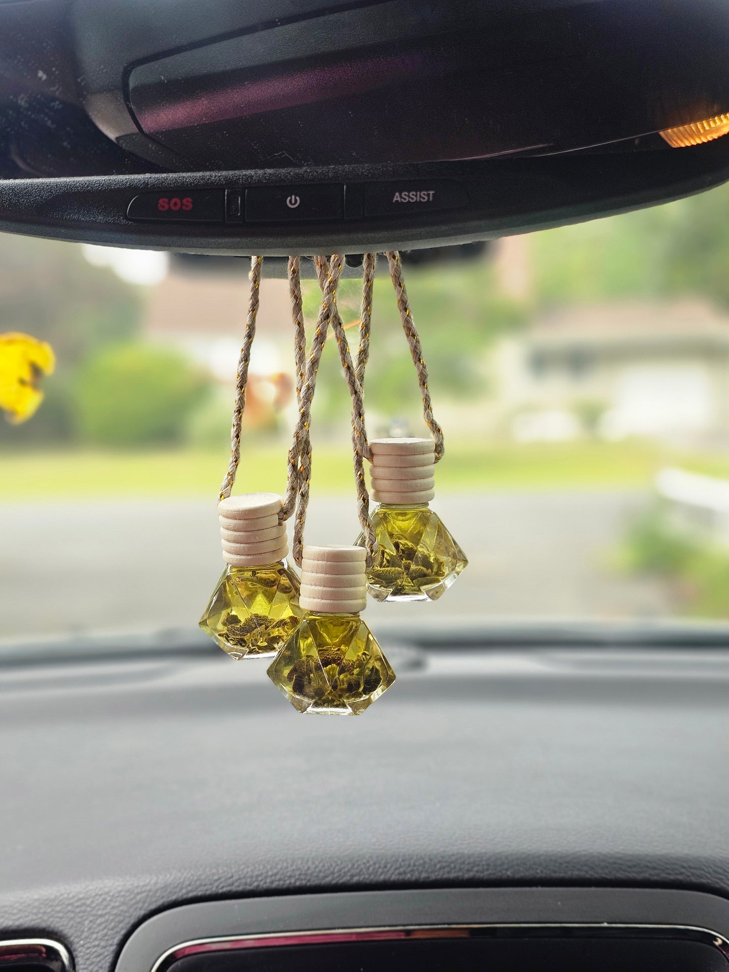 2-Pack Car Diffuser - Sage