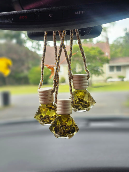 2-Pack Car Diffuser - Sage